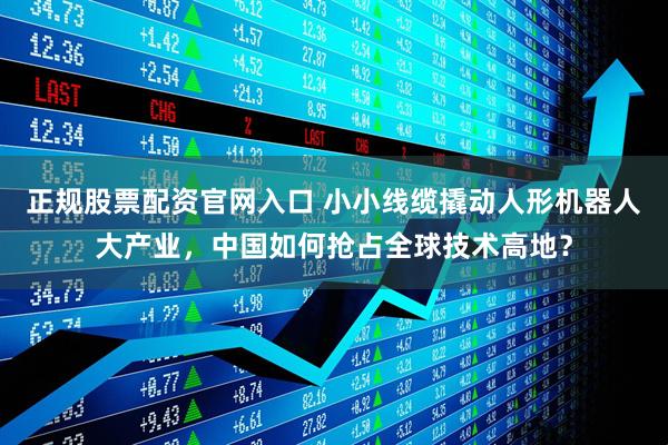 正规股票配资官网入口 小小线缆撬动人形机器人大产业，中国如何抢占全球技术高地？